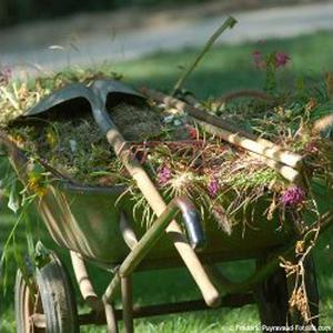 Photo de LIONS Habitat service