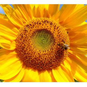 Accueil en journée  enfants de 0 à 3 ans