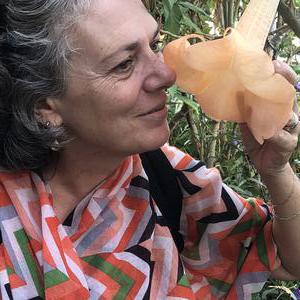 entretien courant de la maison et du linge