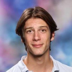 Baby-sitter sérieux titulaire BAFA