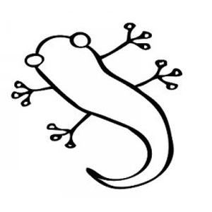 Photo de Gecko Yoga Aix