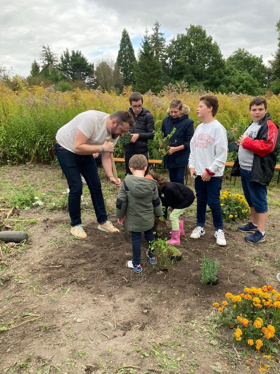 image 4 de Valloires Domicile