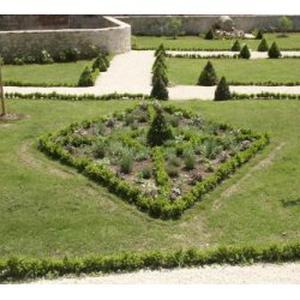 Ou est passé le jardinier