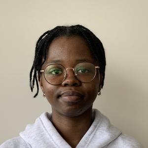 Aide-ménager,  baby-sitter, aide-cuisinier à Angers