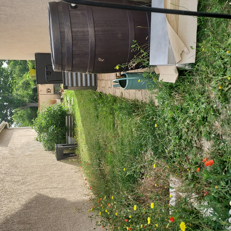 Michèle