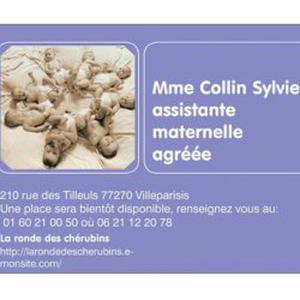 Photo de Assistante maternelle agréée: la ronde des chérubins