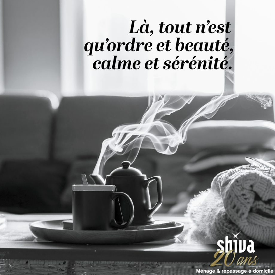 image 1 de Moticlean