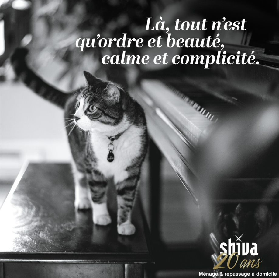 image 2 de Moticlean