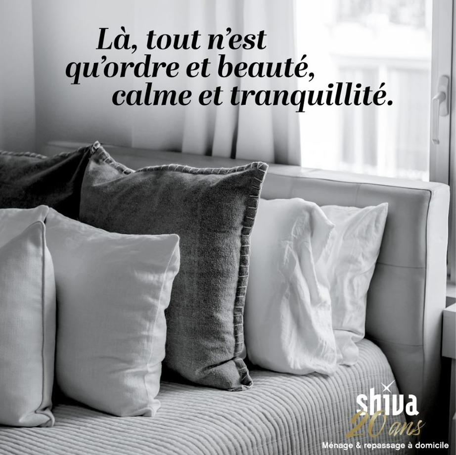 image 3 de Moticlean