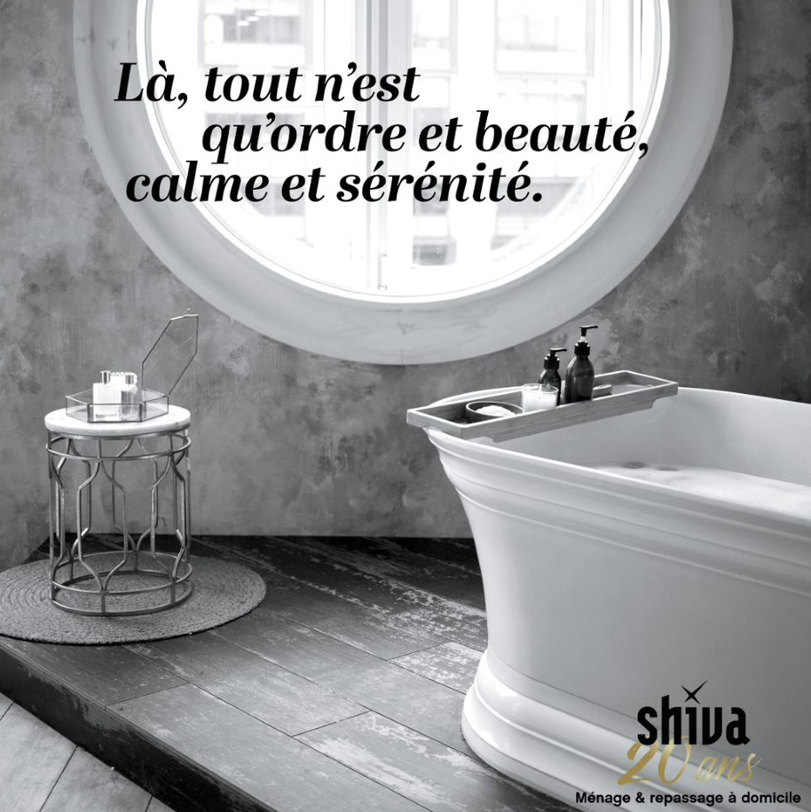 image 5 de Moticlean