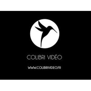 Photo de Colibri Vidéo