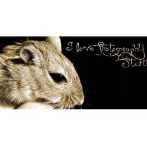 Photo de I love photography Studio