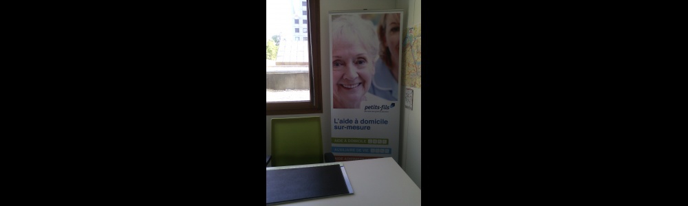 photo couverture Petits-fils Lyon Tête d'or