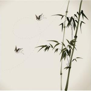 COURS PARTICULIERS ET DE SOUTIEN CHINOIS