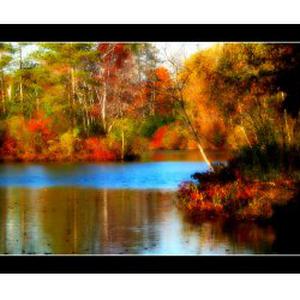 Photo de JLB Peinture