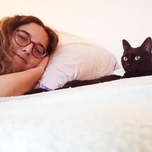 Services attentionnés de garde et de promenade pour vos compagnons à quatre pattes !