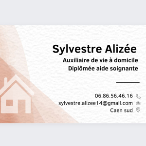 Auxiliaire de vie