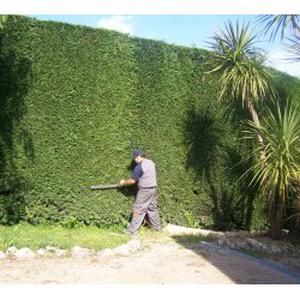 jardinage bricolage