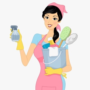 Aide à domicile ménage/repassage (CESU)