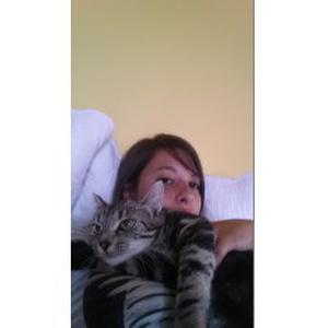 Garde ou promenade d'animaux