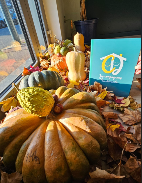 image 4 de Les Compagnons du Domicile