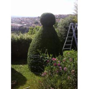 Photo de Monsieur combescure