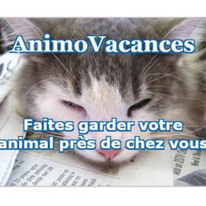 Photo de AnimoVacances