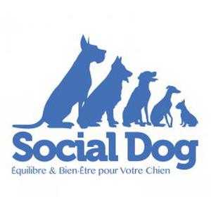 Photo de SOCIAL DOG