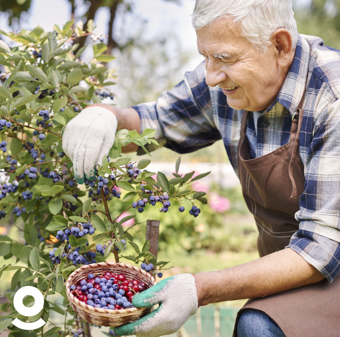 photo couverture AD Seniors Lens