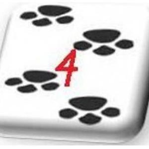 Photo de Nos 4 Pattes