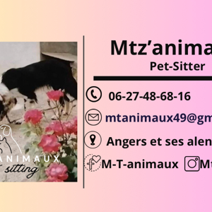 Pet-Sitter