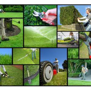 Photo de Entreprise Schlesser
