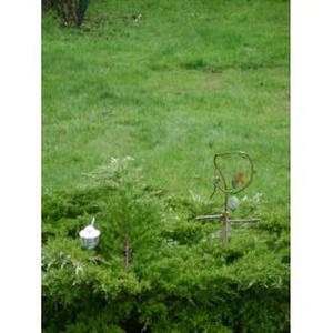 jardinier a domicile pour particuliers