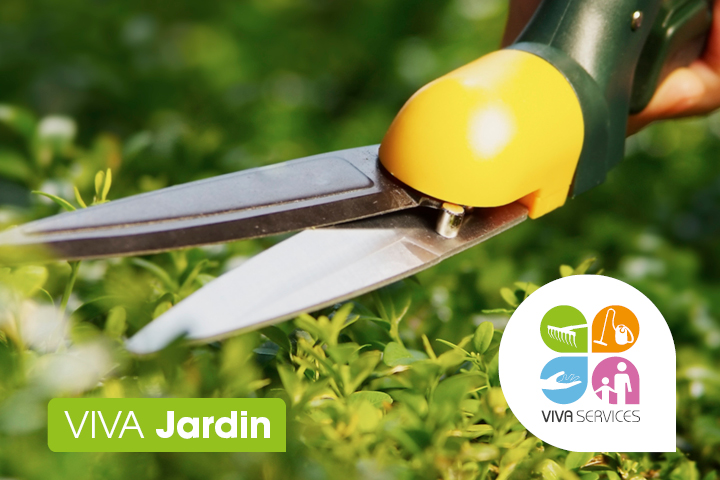 image 2 de Vivaservices Villeneuve-sur-Yonne