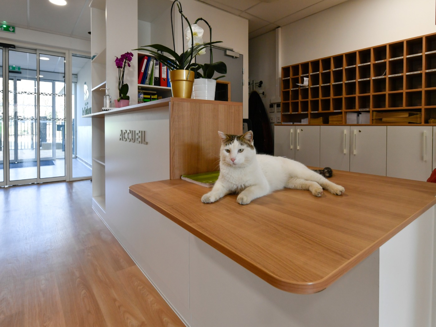 image 6 de Ehpad Résidence Coulazou