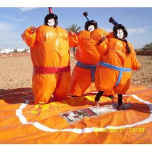 Jeux de combat de sumo