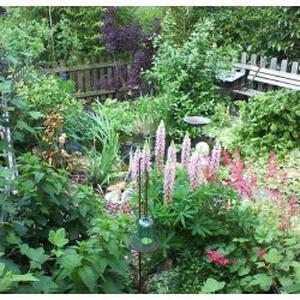 Jardinier Paysagiste