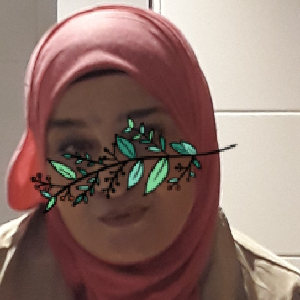 FATIMA, 51 ans, propose ménage