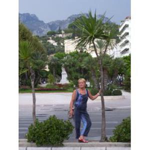 garde et promenades de chiens