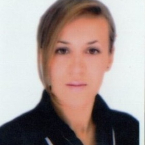 Titulaire d'un diplôme de Licence d'enseignement en Anglais Bac+4 (2 ans d’expérience dans l'enseignement supérieur)