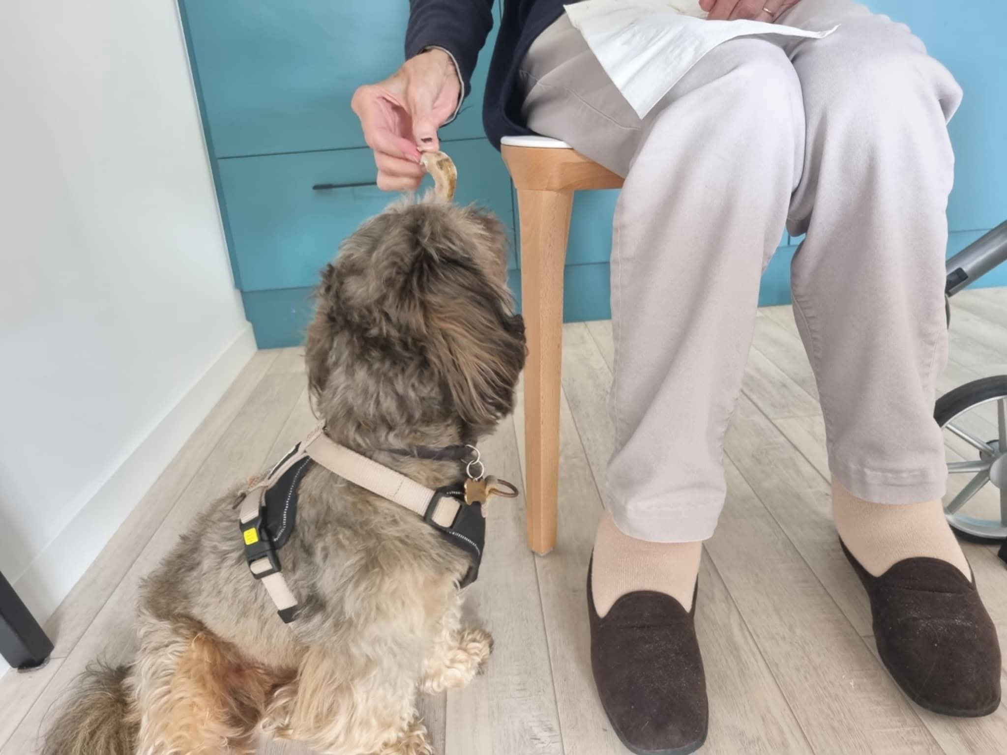 image 4 de Papoos Rance Emeraude - Dinan