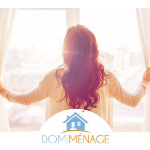 image 1 de Domi-ménage Saint Germain en Laye