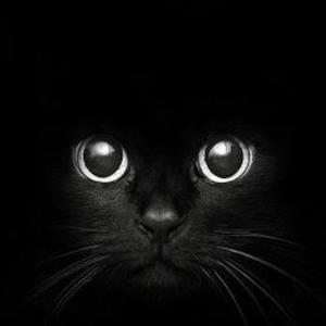 Aide aux devoirs, cours de soutien alentour Annemasse 74