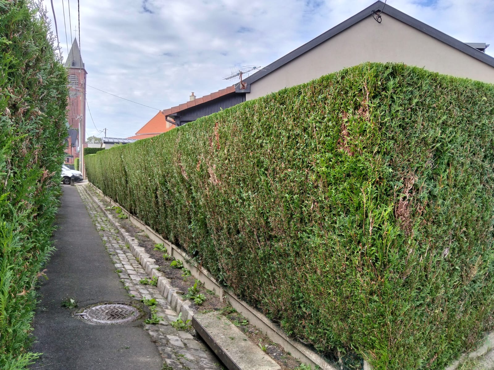 Entretien d'espaces verts