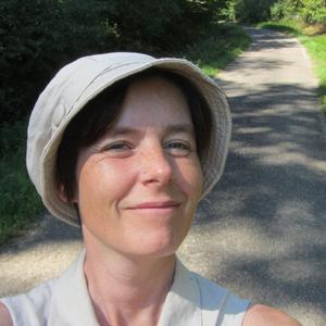 Ménage/Bricolage/Jardinage