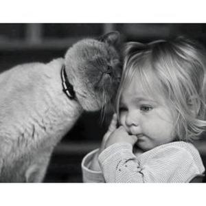 Garde d'enfants / Baby sitting 