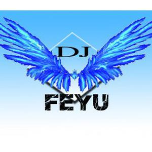 Photo de DJ FEYU