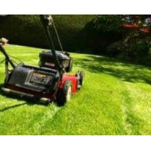 Jardinage quotidien chez vous