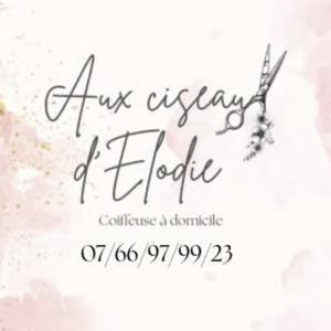 Coiffeuse à domicile Somain et alentours 10km