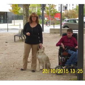 Je peux vous aider à éduquer votre animal